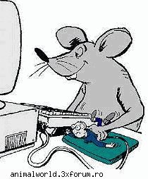 cool picture mouse