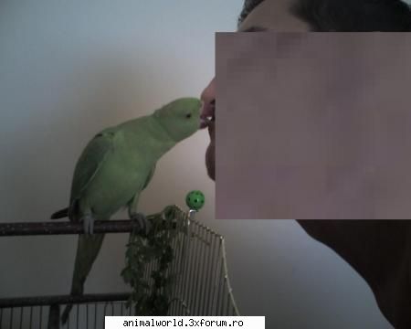 you&coco poze