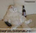 poze anunt esti off astea pun topicul mai continui vei moderator o`blonda
