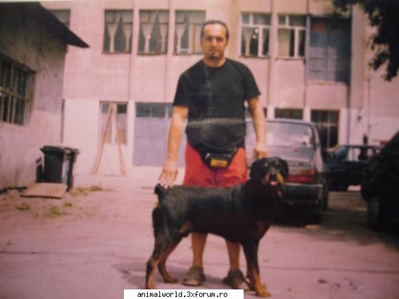 dresaj canin la domiciliul clientului sau in regim de dresaj de paza si aparare, vanatoare si