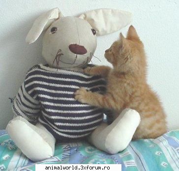 cool picture - chris2005 - Poze mishto/reclame haioase
