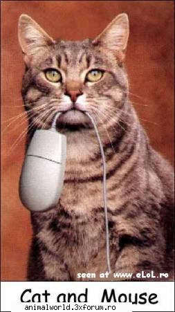 cool picture - chris2005 - Poze mishto/reclame haioase