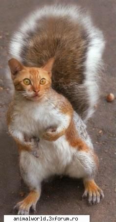 cool picture - chris2005 - Poze mishto/reclame haioase