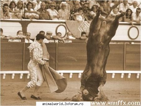 cool picture - riscurile meseriei - Poze mishto/reclame haioase