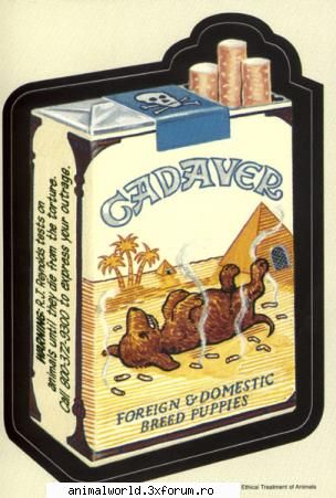 cool picture - Hamsteritza - Poze mishto/reclame haioase