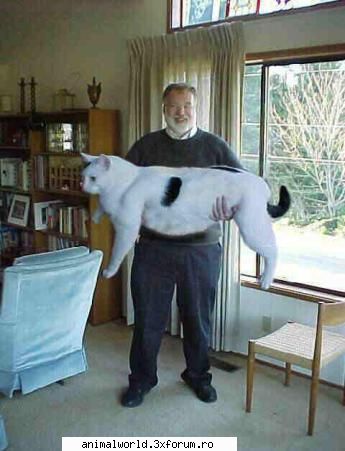 cool picture - Lucian - Poze mishto/reclame haioase