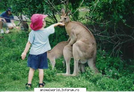 cool picture - Lucian - Poze mishto/reclame haioase