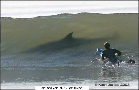 cool picture - O`Blonda - Poze mishto/reclame haioase