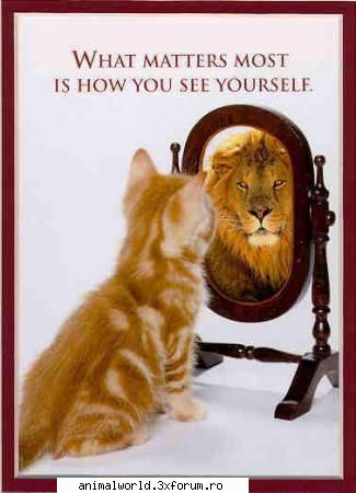cool picture - O`Blonda - Poze mishto/reclame haioase