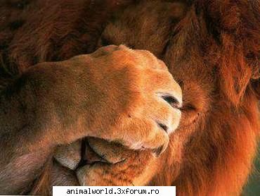 cool picture - O`Blonda - Poze mishto/reclame haioase
