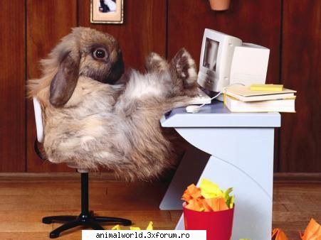 cool picture - O`Blonda - Poze mishto/reclame haioase