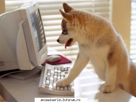 cool picture - O`Blonda - Poze mishto/reclame haioase