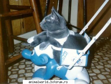cool picture - chris2005 - Poze mishto/reclame haioase